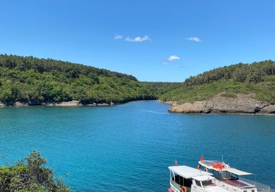 Sinop Merkez