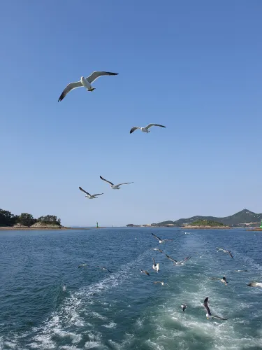 Seonyudo Beach