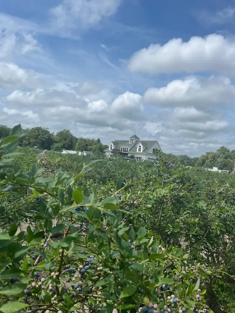 فنادق في Mullica