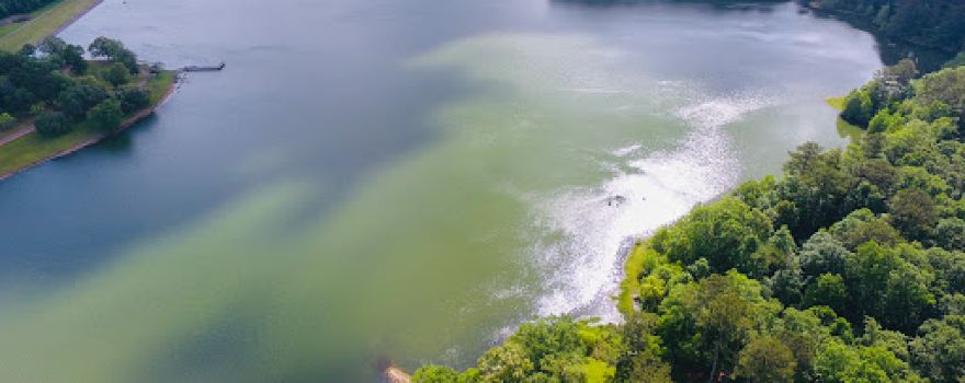 Lake Jeff Davis