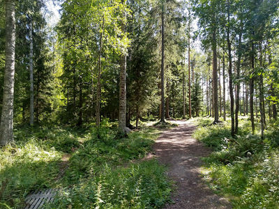 Mäntän Frisbeegolfrata