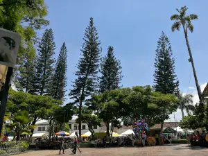 El Samán Park