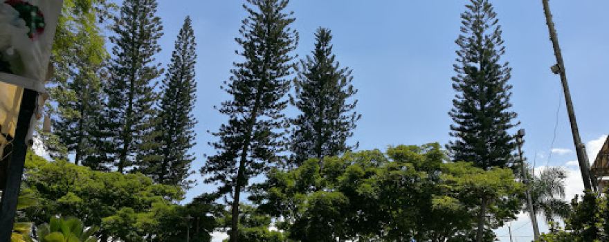 El Samán Park