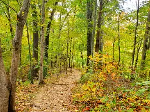 Bakers Bluff