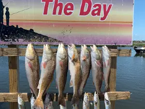 Aransas Bay Fishing Charters