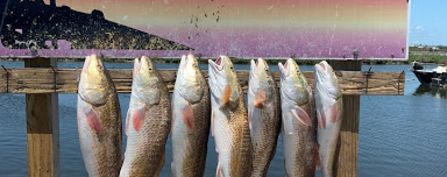 Aransas Bay Fishing Charters