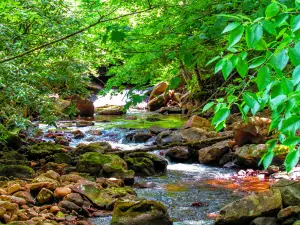 Tea Creek Campground