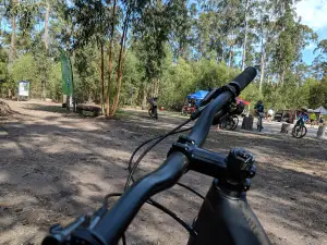 New Italy Mountain Bike Forest