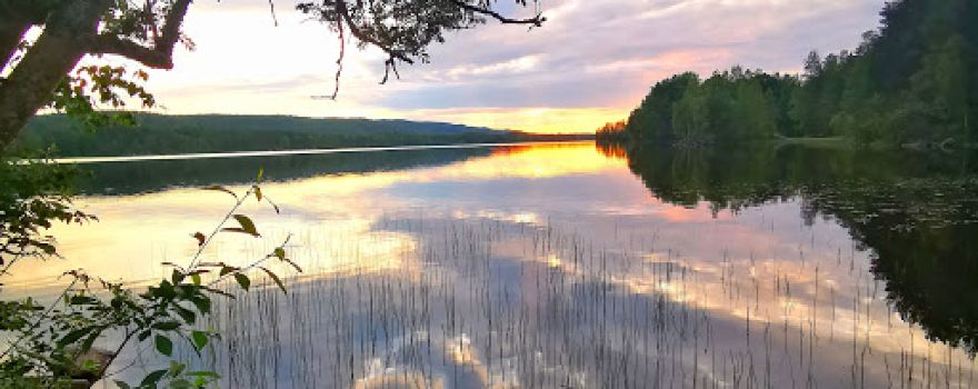 Lakkala
