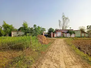 Gulariya Mandir Hanuman dham