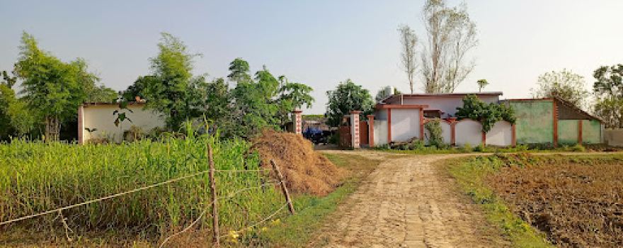 Gulariya Mandir Hanuman dham