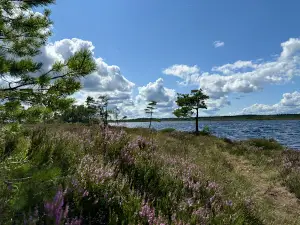 Komosse Naturreservat
