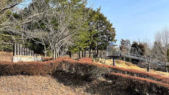 黒井山グリーンパーク 滑り台