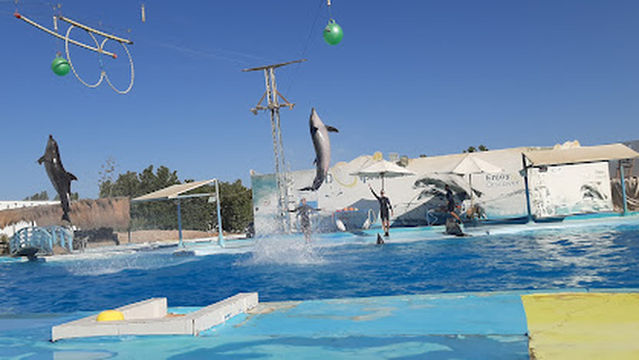 Mahmoud Safari Hurghada (Best Egypt Travel)