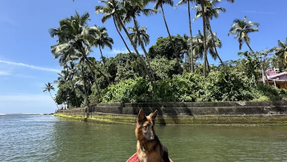 Baga kayaking - Vhoddekar