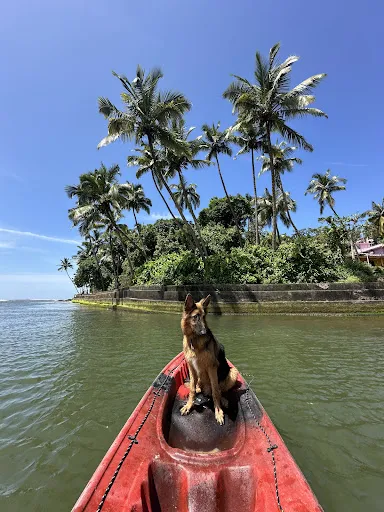 Baga kayaking - VHODDEKAR