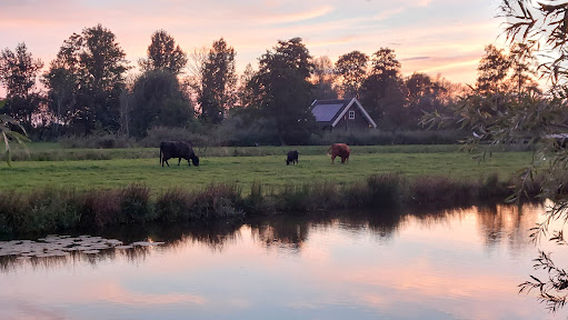 Vinkeveen