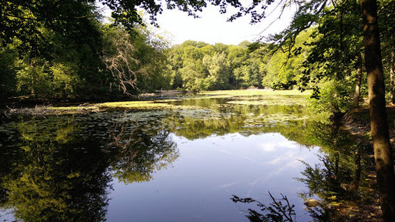 Island of imagination