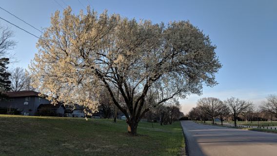 CiCo Park