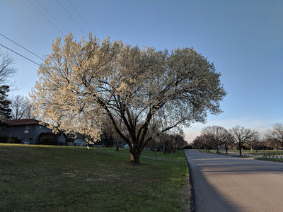 CiCo Park
