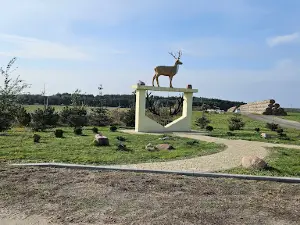 Ферма благородного оленя