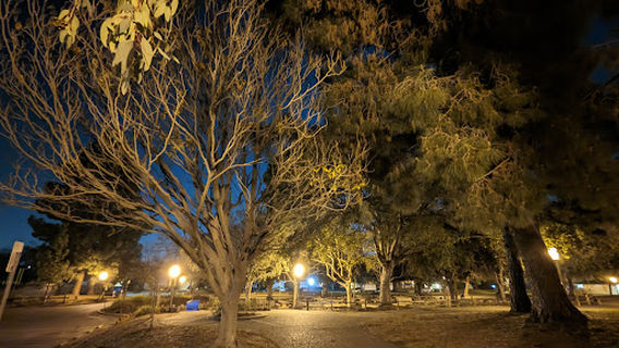 Ponderosa Park