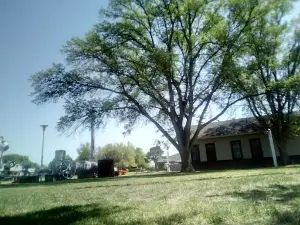 Stevens County Gas Museum