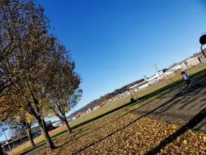 Felts Park
