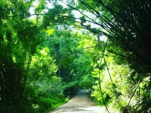 Cachoeira da Italiana