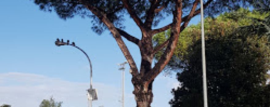 Stadio Comunale Vittorio Papa