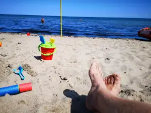 Det Falsterske Dige