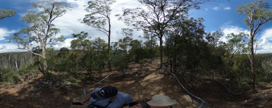Checks Viewpoint