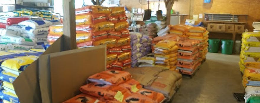 Daisy Feed & Seed Co