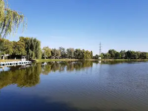 Lac Tineret
