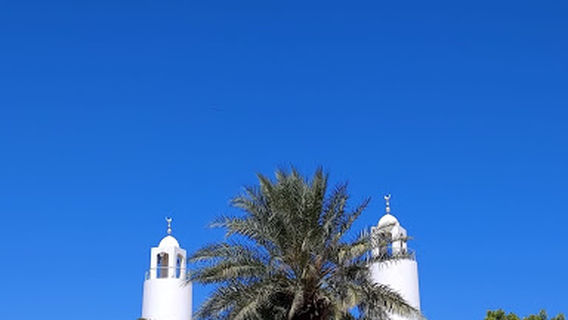 Mosquée Du Prince Salman