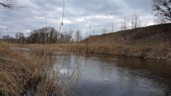 Rodzinny Ogród Działkowy "Truskawka" w Iławie