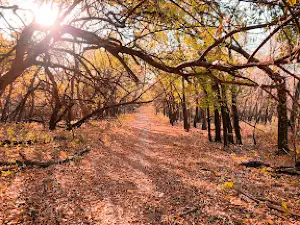 Elk River Hiking Trail