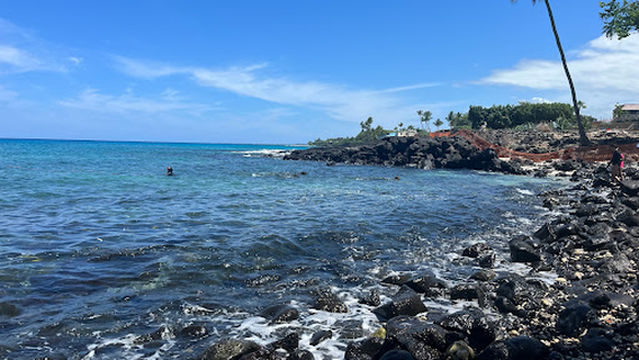 Top Shot Spearfishing