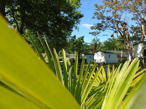 Camping de l'Etang de Laubanère