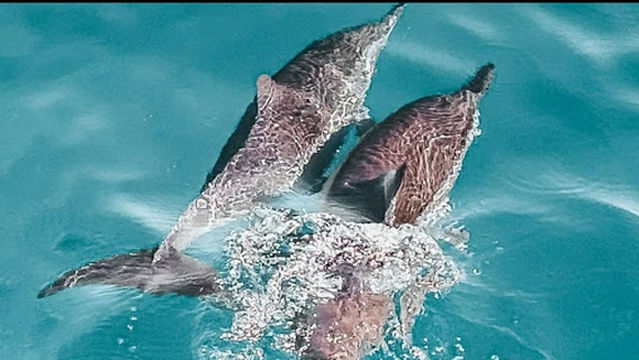 Magic Moments Excursions