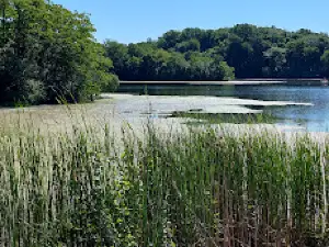 ポール・アイス保養地