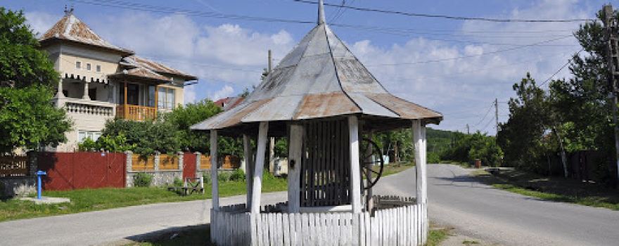 Biserica Ortodoxa Nenciulesti