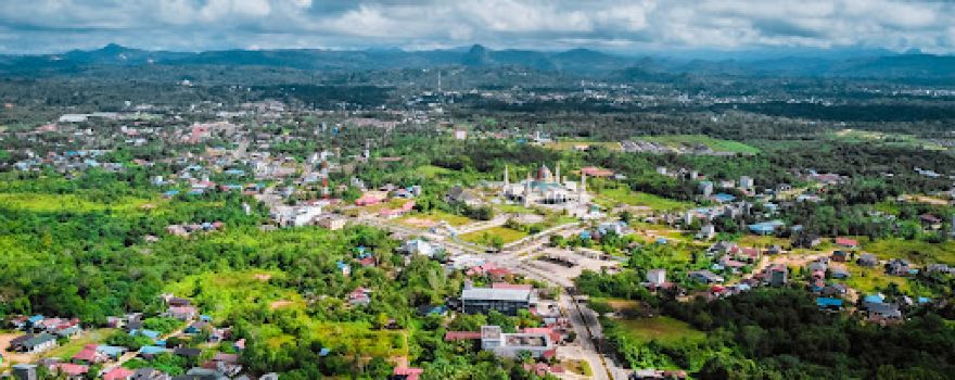 Gold Roundabout Purukcahu