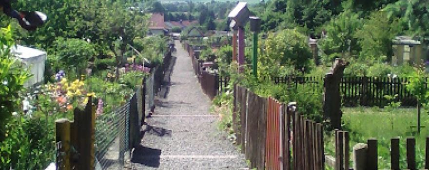 Gartenanlage Fortschritt Triptis e.V.
