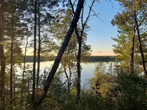 Mio Pine Acres Cabins Campground
