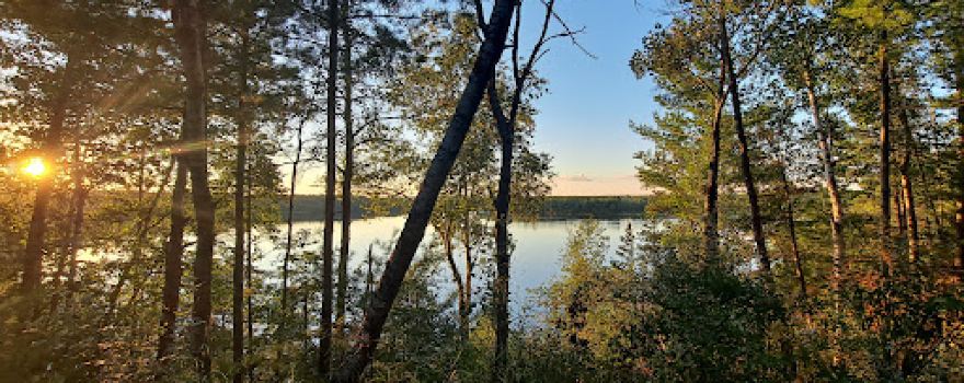 Mio Pine Acres Cabins Campground