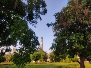 Cricket Play Ground & Kids Park