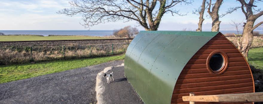 Hendre Hall Campsite