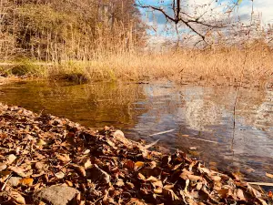 Karkali Strict Nature Reserve