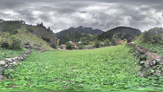 Arakli